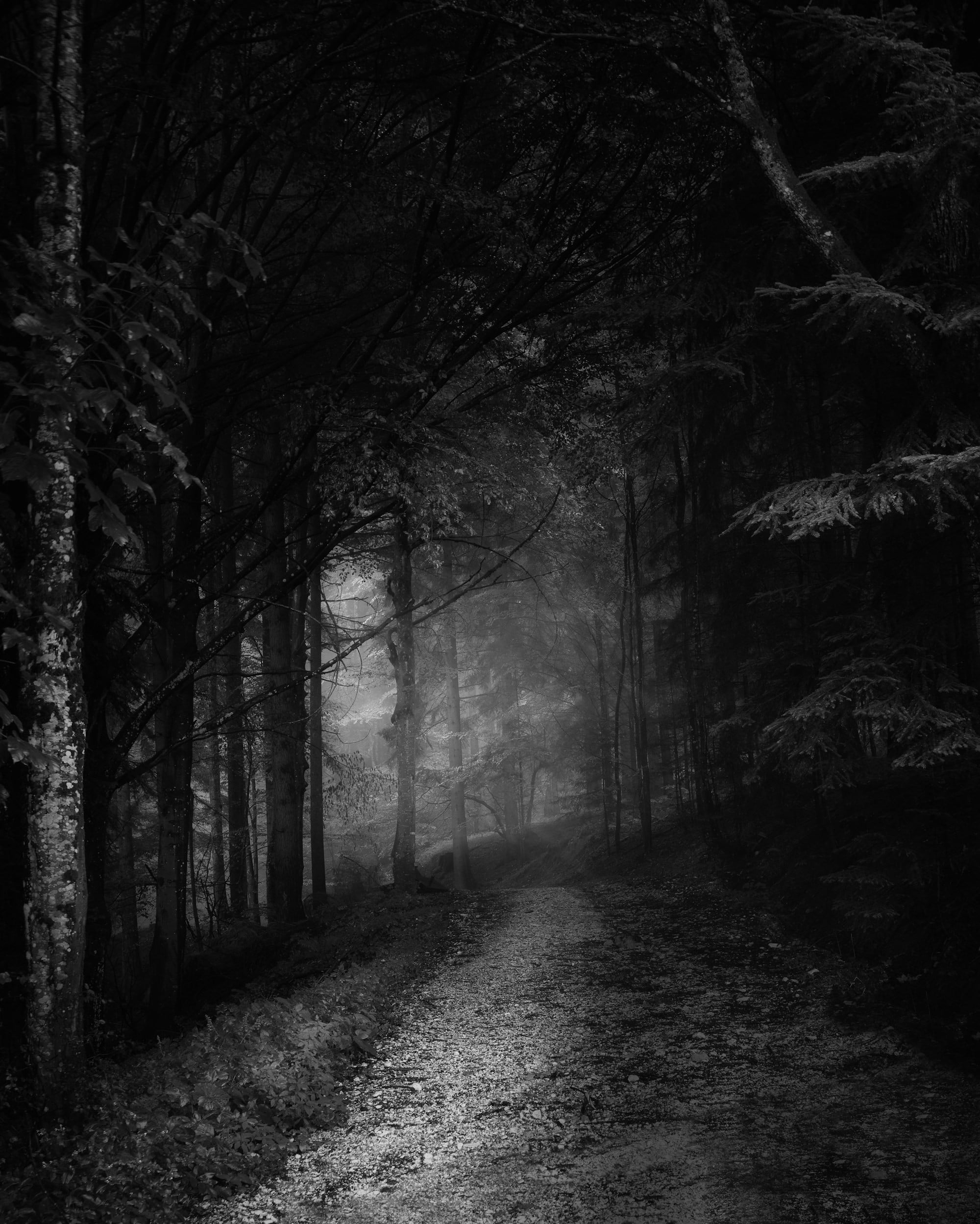 Dark, mysterious wonders.